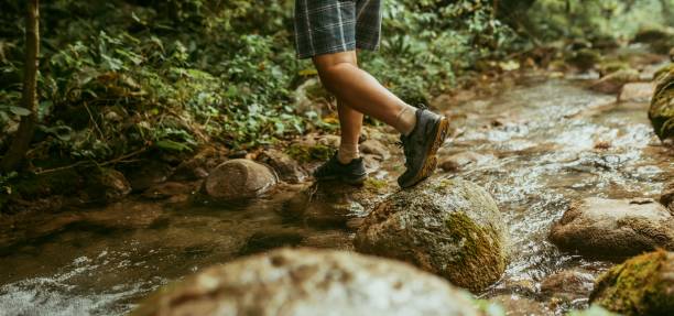 istock Person hiking in the forest 1933662410