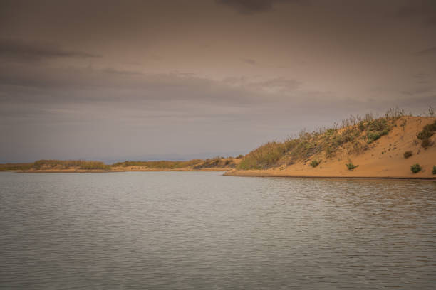 The river around the desert in Inner Mongolia, China. Copy space for text, background