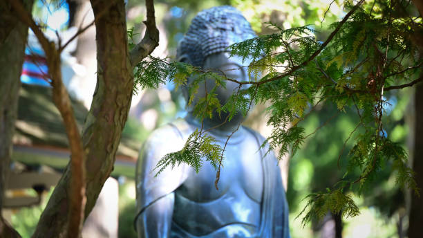 Free Stock Photo of Buddha Statue Surrounded by Green Leaves | Download ...
