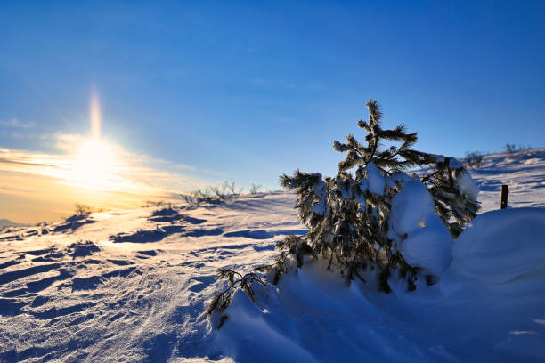 istock Kirigamine Plateau covered in snow in Japan 1933683344