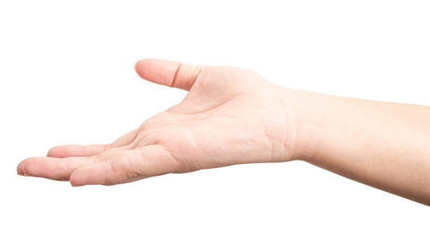 istock Male hand reach and ready to help or receive. Gesture isolated on white background. 1933685476