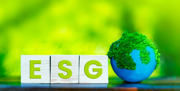 istock ESG Essentials: Sustainable Organizational Development on Woodblock 1933719221