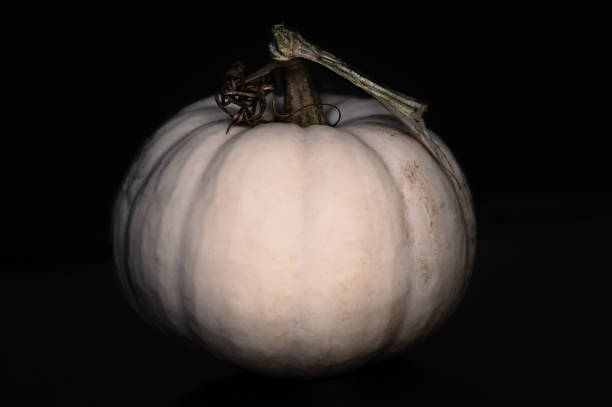 istock White pumpkin against a black background 1933734212