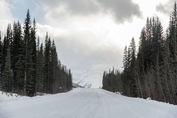 istock Kananaskis Country 1933744348