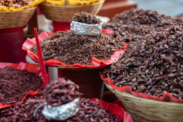 istock Fried grasshoppers at a market in Oaxaca, Mexico 1933744888