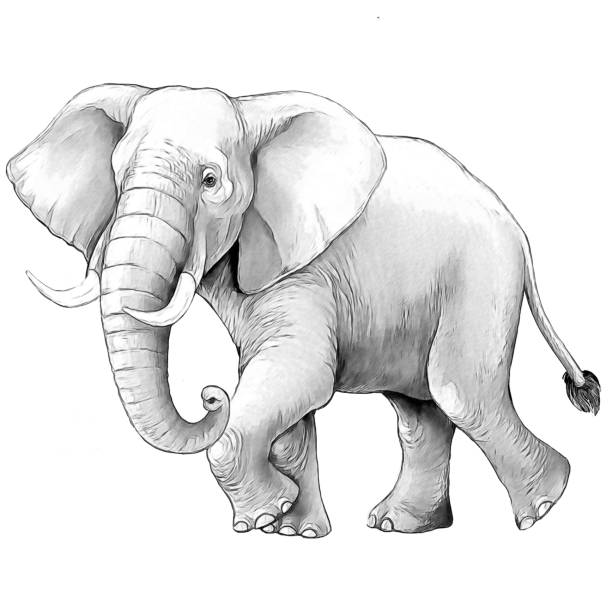 istock cartoon scene with big elephant on white background safari coloring page sketchbook illustration for children 1933762187
