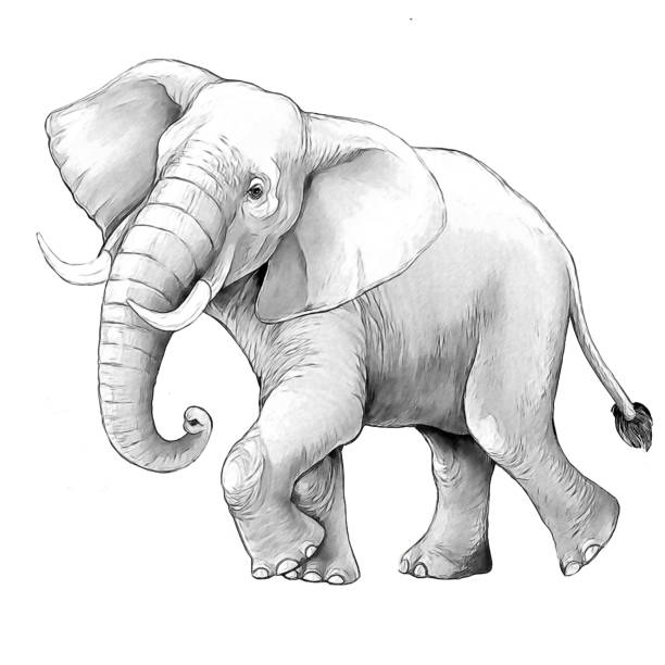 istock cartoon scene with big elephant on white background safari coloring page sketchbook illustration for children 1933762191
