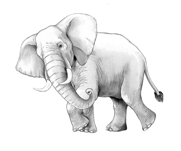 istock cartoon scene with big elephant on white background safari coloring page sketchbook illustration for children 1933762710