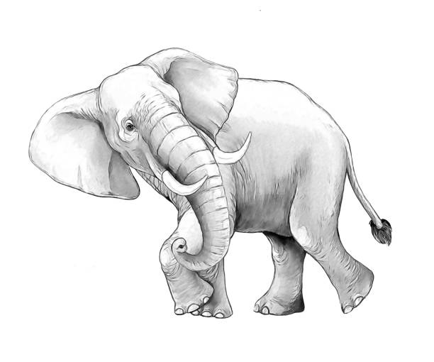 istock cartoon scene with big elephant on white background safari coloring page sketchbook illustration for children 1933763746
