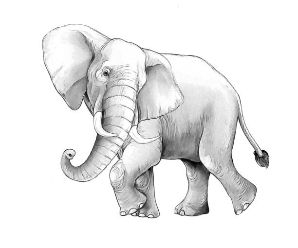 istock cartoon scene with big elephant on white background safari coloring page sketchbook illustration for children 1933764282