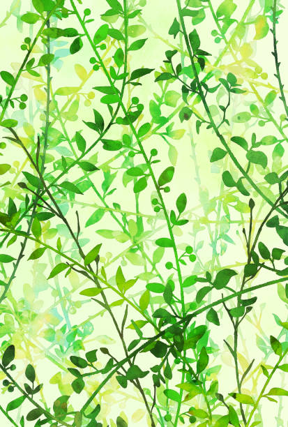 istock Illustration of leaves and ivy drawn by watercolor 1933780529