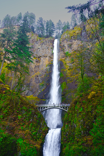 Complete view of Multnomah Falls of Columbia River Gorge , Oregon