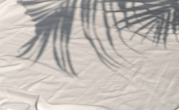 istock Curtain white wave and soft shadow of palm leaves 1933807700