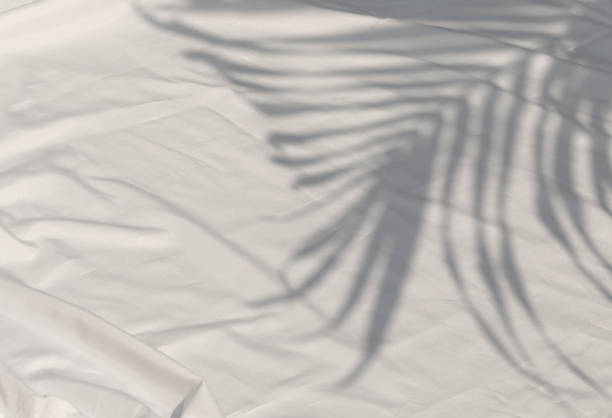 istock Curtain white wave and soft shadow of palm leaves 1933807702