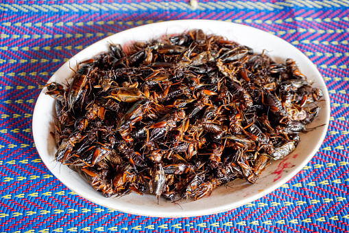 Pile of fried crickets in a white plate placed on a mat. Fried insects are high in protein.