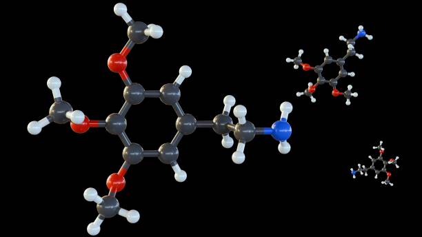 istock 3d rendering of Mescaline structure inside of peyote 1933880327