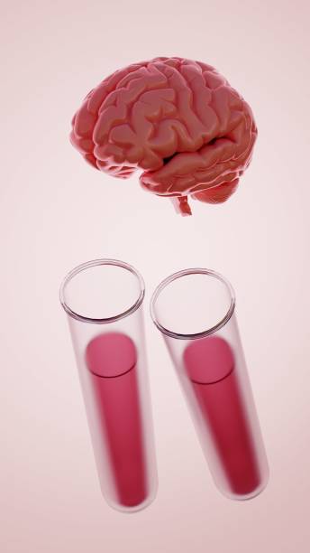 istock 3d rendering of a human brain and two test tubes 1933882390
