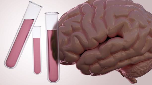 istock 3d rendering of a human brain and two test tubes 1933883441
