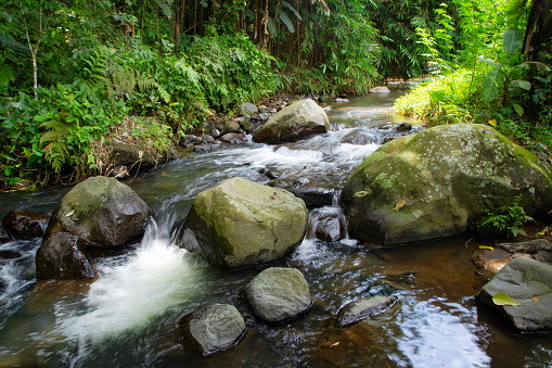 Cascades of a rainforest stream. beautiful indonesia tropical scenery