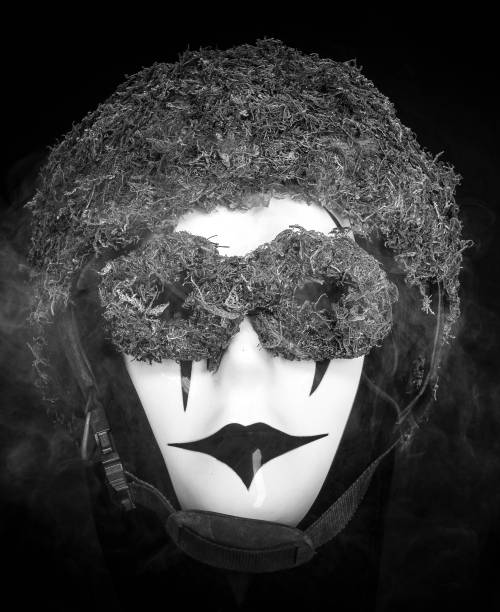 istock Smoking mask with moss helmet and scary face 1933902871