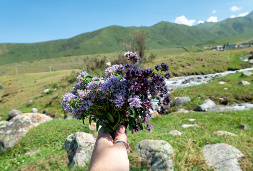 A bouquet of meadow flowers in hand against a background of nature