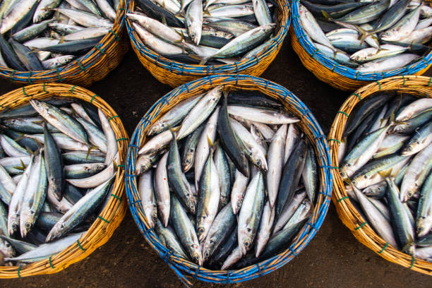 istock tuna fish and marine products from Indonesia 1933930309