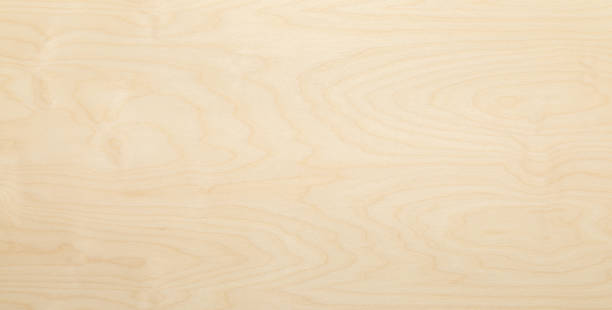 istock Texture background. High key birch wood plank natural texture, plank texture background, plank tabletop background. 1933972432
