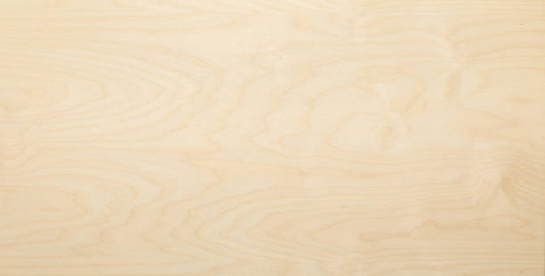 istock Texture background. High key birch wood plank natural texture, plank texture background, plank tabletop background. 1933973976