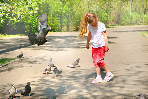 Child girl playing in the park catching birds and running. Enjoying activity