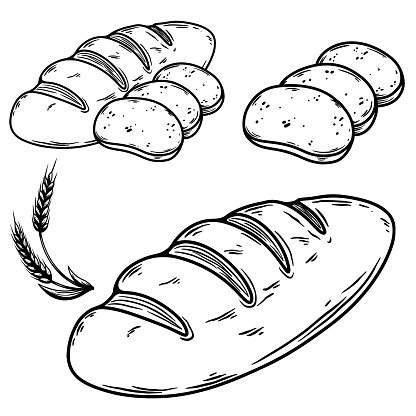 Illustration of a bread in engraving style. Bakery. Vector illustration