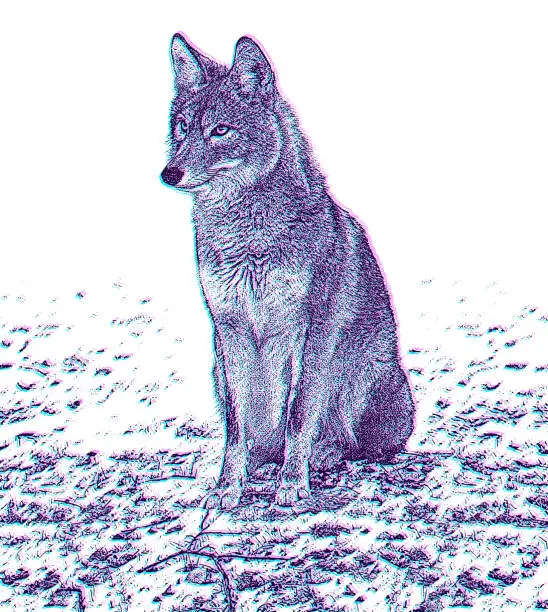 Vector illustration of One Wild Coyote with Glitch Technique