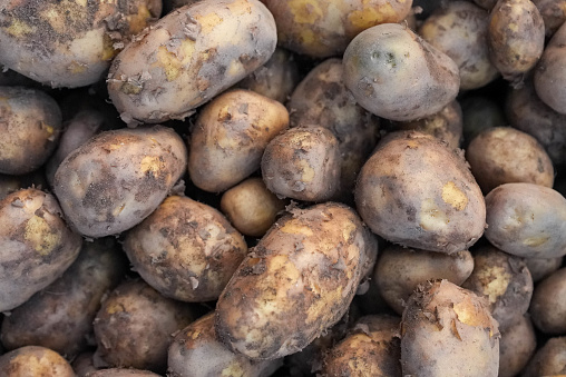 A top view of fresh, organic potatoes in a stack