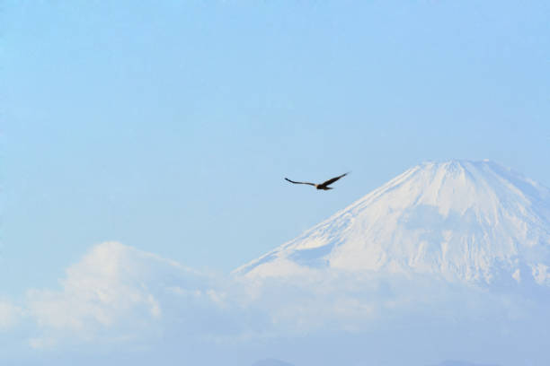istock Japan's representative mountain, Mt. Fuji in winter 1934111395
