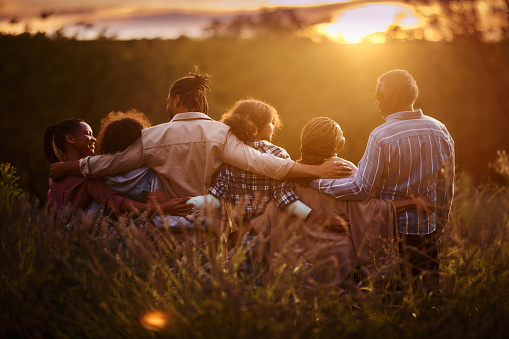 Rear view of embraced African American multi-generation family communicating in a meadow at sunset. Copy space.