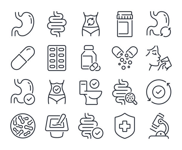 Digestion, intestine, stomach, and probiotics editable stroke outline icons set isolated on white background flat vector illustration. Pixel perfect. 64 x 64. Digestion, intestine, stomach, and probiotics editable stroke outline icons set isolated on white background flat vector illustration. Pixel perfect. 64 x 64. bacterium stock illustrations