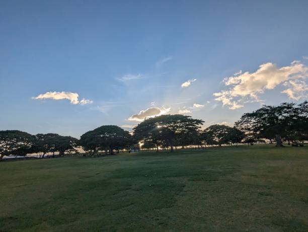 istock Sunlight shining through the trees in the park 1934342693