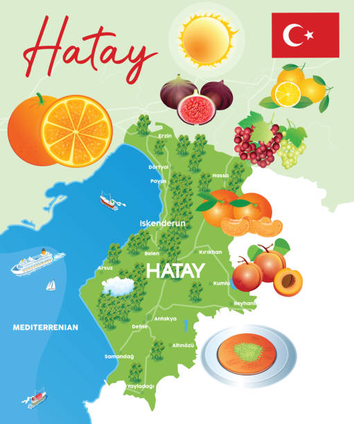 Hatay Fruits Map Vector Hatay Fruits Map antakya stock illustrations