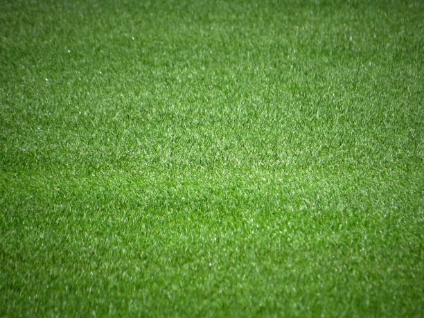 Soccer field in near plan