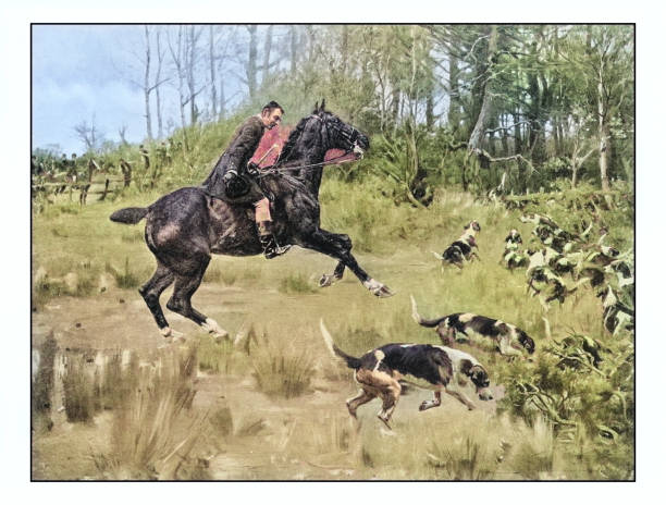 120+ Fox Hunting Painting Stock Illustrations, Royalty-Free Vector