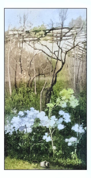 istock Antique photo of paintings: Nature 1934355086