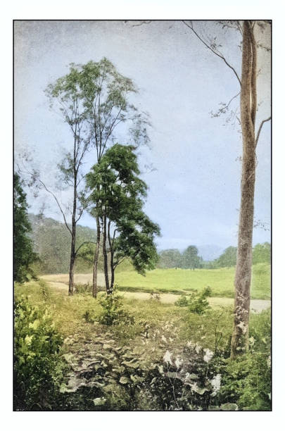 istock Antique photo of paintings: Landscape 1934362570