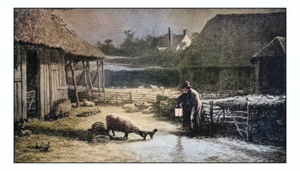Antique dotprinted photo of paintings: Farm
