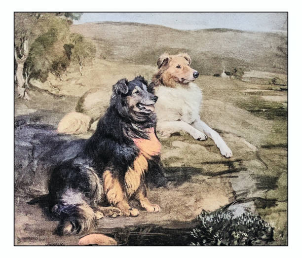 istock Antique photo of paintings: Dogs 1934373769