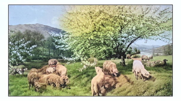 Antique dotprinted photo of paintings: Orchard in Wales