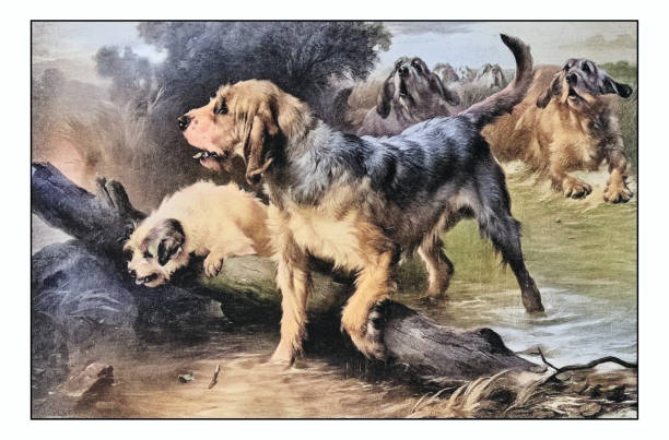 istock Antique photo of paintings: Dogs 1934395015