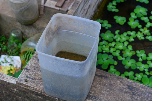 close up of a water reservoir originating from a spring in Wonosobo, Indonesia. clear water comes from natural springs and is not polluted at all.