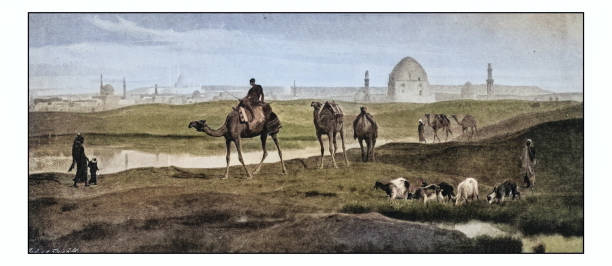 antique photo of paintings: egypt - egypt pyramid cairo camel stock illustrations