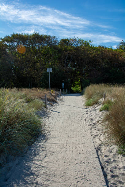 istock A path from the beach to the town 1934409490