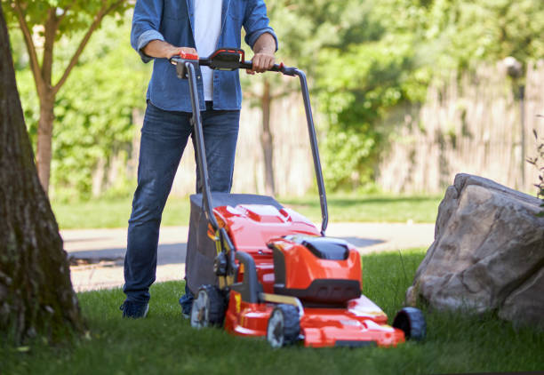 istock Unrecognizable male gardener in jeans using modern lawn mower for cutting grass on yard. 1934421993