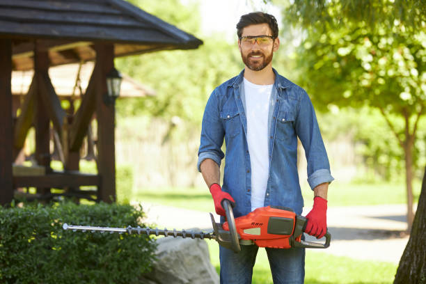 istock Confident gardener in protective glasses smiling, while posing with electric hedge trimmer outdoors. 1934440444